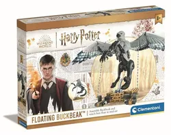 Гаррі Поттер Бакбік