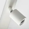 plmebli
