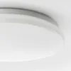 plmebli