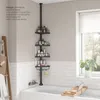 plmebli