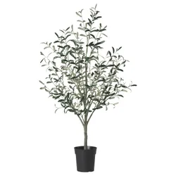 IKEA FEJKA(405.968.85) Штучний горщик, зсередини/поза оливковим деревом