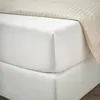 plmebli
