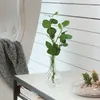 plmebli