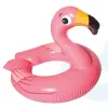 plmebli