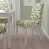 plmebli