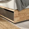 plmebli