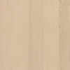 plmebli