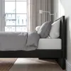 plmebli