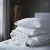 plmebli