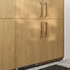 plmebli