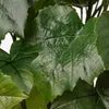 plmebli