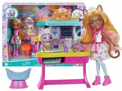 ENCHANTIMALS ДОКТОР КАРЛІН ЛЯЛЬКА КІТ ЛЯЛЬКА ЛЯЛЬКА СОБАКА ...