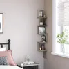 plmebli