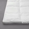 plmebli