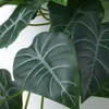 plmebli