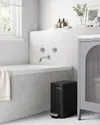 plmebli
