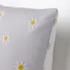 plmebli