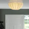 plmebli