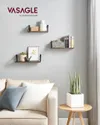 plmebli