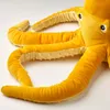 plmebli