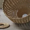 plmebli