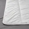 plmebli