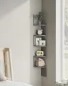 plmebli