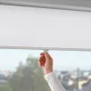 plmebli