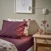 plmebli