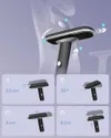 plmebli