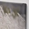 plmebli