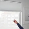 plmebli