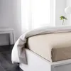 plmebli