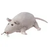plmebli