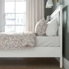 plmebli