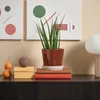 plmebli