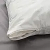 plmebli