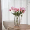 plmebli