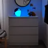 plmebli