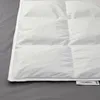 plmebli