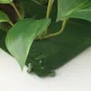 plmebli