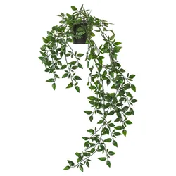 IKEA FEJKA (403.495.31) штучна кімнатна рослина, всередину / назовні / висить