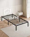 plmebli