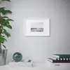plmebli