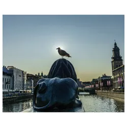 IKEA BILD (905.265.12) Плакат, сходи з левами Гетеборг