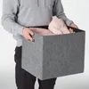 plmebli