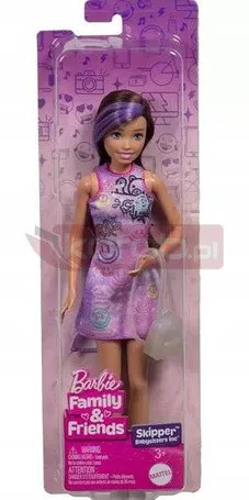 Лялька Барбі "Скіпер" у фіолетовій сукні JBF41, серія "Сім'я та друзі"