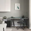 plmebli