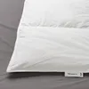 plmebli