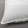 plmebli